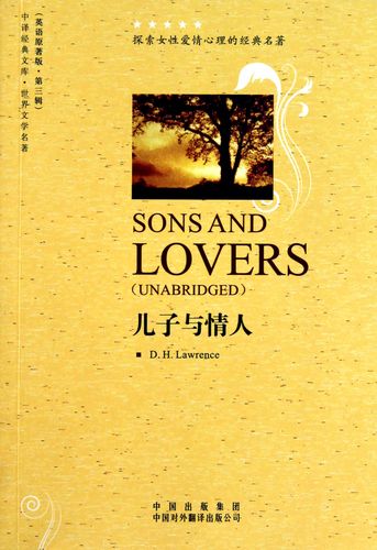 儿子与情人 儿子与情人