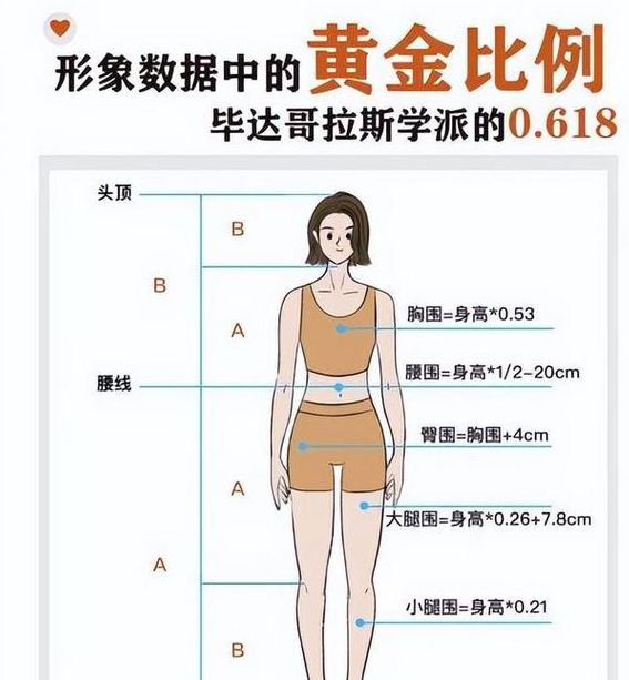 时尚穿搭黄金比例手册 时尚穿搭黄金比例手册