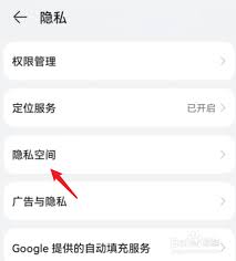 荣耀手机隐藏应用名称技巧_荣耀手机图标设置与隐私保护实用指南