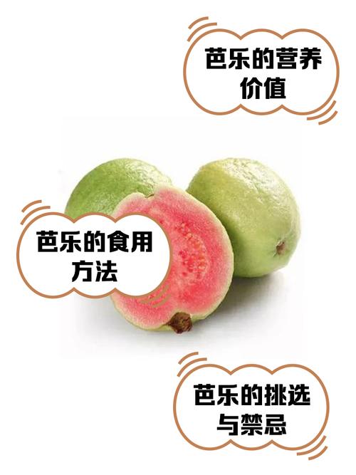 芭乐iOS手机版免费安装教程:资源获取+功能实测+常见问题解析 芭乐iOS手机版免费安装教程:资源获取+功能实测+常见问题解析